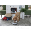 Haustierhund Schüssel süße Cartoon Haustier -Essensschale
